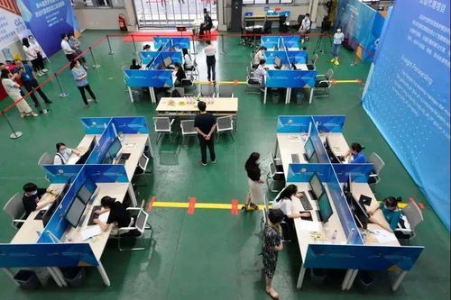 2020年全国行业职业技能竞赛——全国物流服务师职业技能竞赛重磅启幕，信息技术咨询服务成亮点